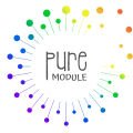 Pure Module