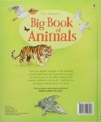 Big Book of Animals