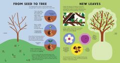 The Tree Book