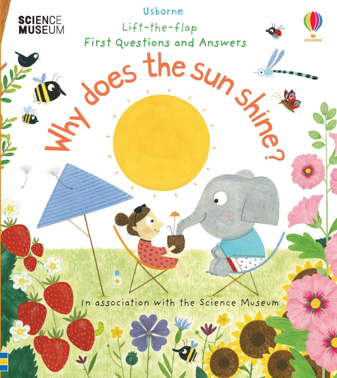 Why Does the Sun Shine? Lift-the-flap Very First Questions and Answers