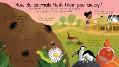 Where Does Poo Go? Lift-the-flap Very First Questions and Answers