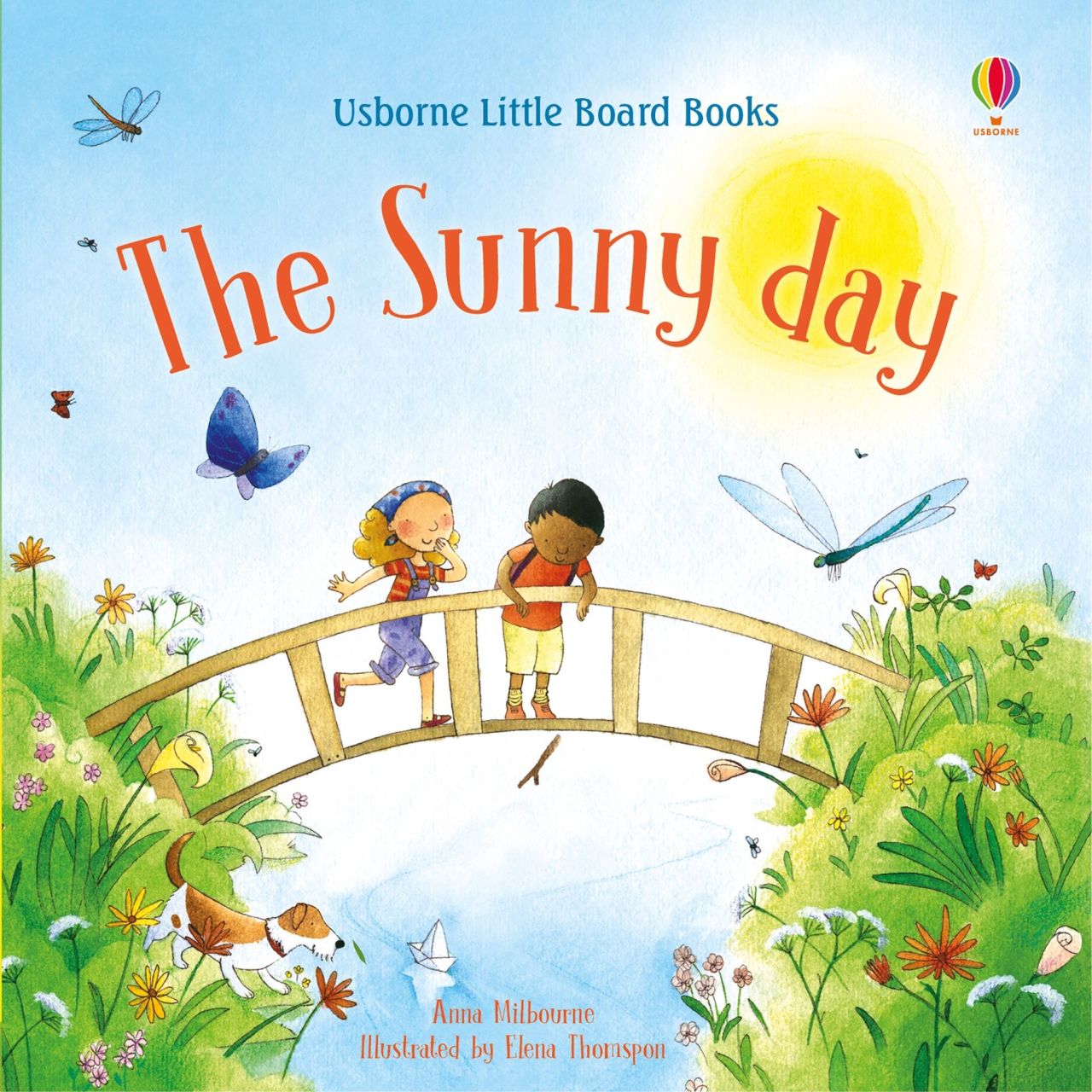 The Sunny Day (Little Board Books)