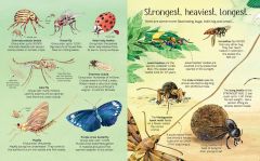 Big Book of Bugs