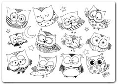 Funny Mat - Şaşkın Baykuşlar (45 x 68cm)