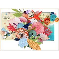 Shells: A Summer Pop-Up Book