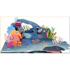 Shells: A Summer Pop-Up Book