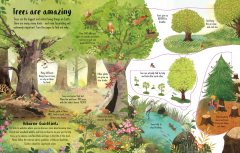 Lift-the-Flap Trees (See Inside)