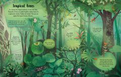 Lift-the-Flap Trees (See Inside)