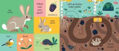 Let's Go Home, Baby Rabbit
