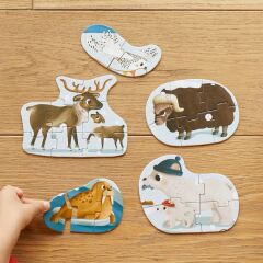 A Day in Arctic: 6 in 1 Puzzle (2-3-4-6-8-33 Parça Yapboz) ile Kuzey Kutbunu Keşfet