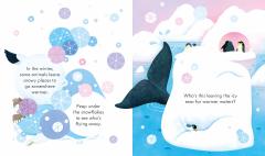 Peep Inside Snowy Places