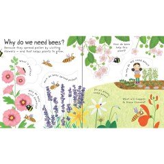 Lift-the-Flap First Questions and Answers How do flowers grow ?