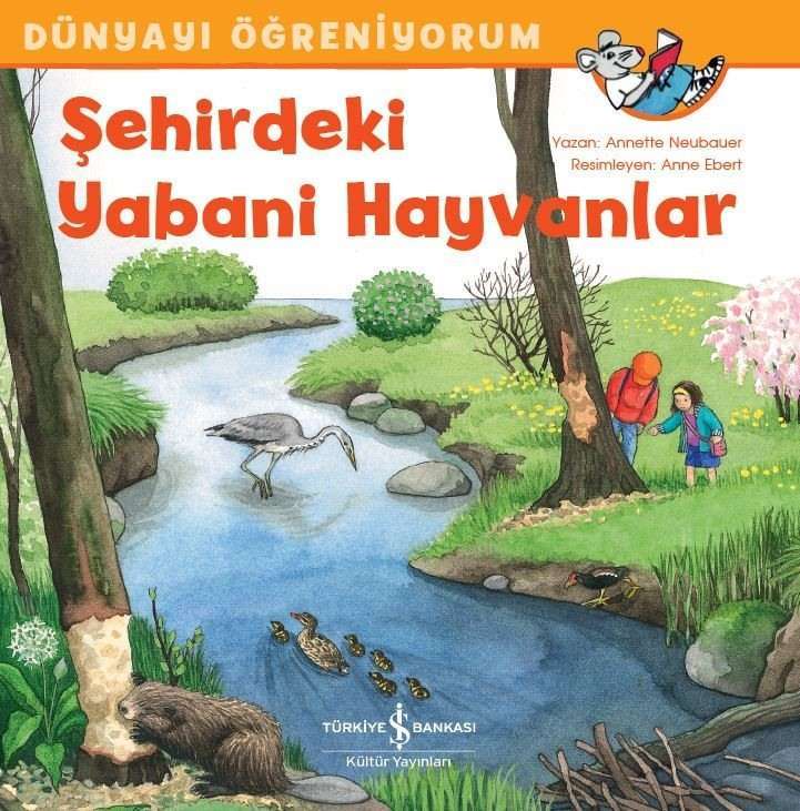 Dünyayı Öğreniyorum – Şehirdeki Yabani Hayvanlar