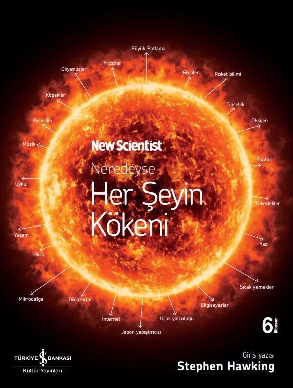 Neredeyse Her Şeyin Kökeni