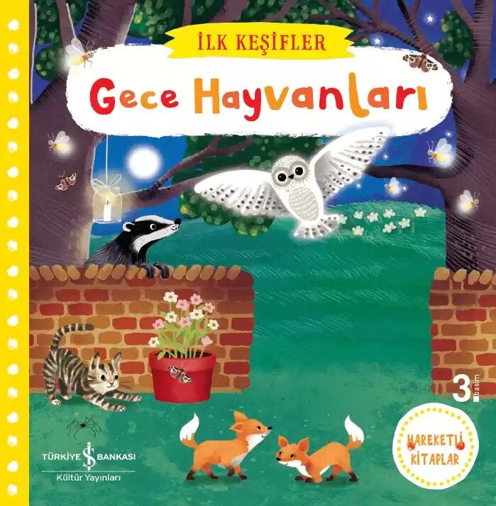 Hareketli Gece Hayvanları