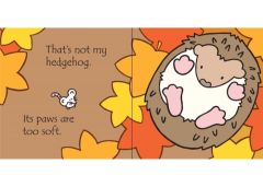 That's Not My Hedgehog