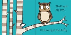 That's Not My Owl