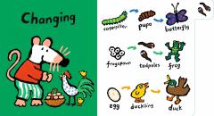 Maisy's Science: First Words Book