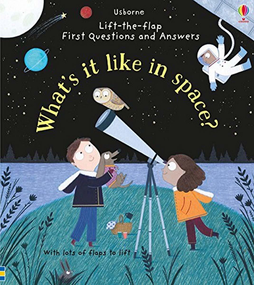 What Is It Like In Space? Lift-the-flap Very First Questions and Answers