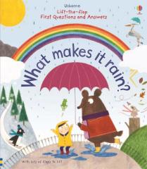 What Makes It Rain? Lift-the-flap Very First Questions and Answers