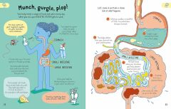All You Need to Know about Your Body by Age 7
