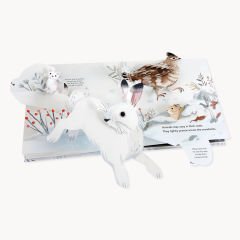 Snowscape: A Winter Pop-Up Book