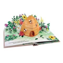 Flora: Pop-up Book