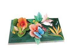 Flora: Pop-up Book