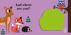 Where's Mr Owl?