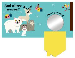 Where's Mr Polar Bear?