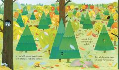 Peep Inside a Forest