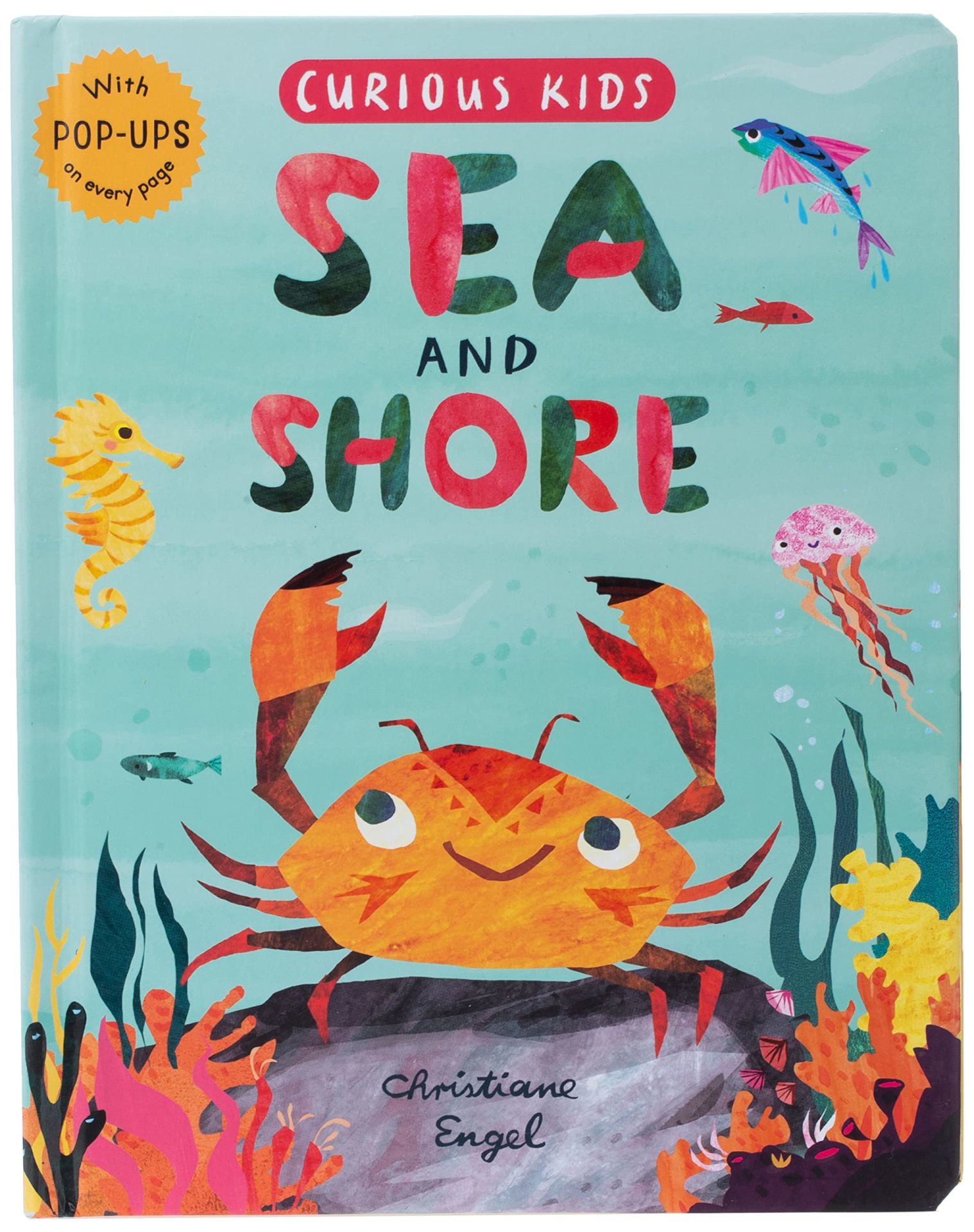 Curious Kids: Sea and Shore