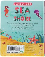 Curious Kids: Sea and Shore