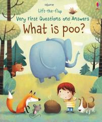What is Poo? Lift-the-flap Very First Questions and Answers