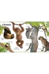 My First Animals