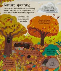 Look Inside Nature