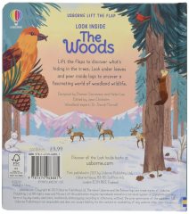 Look Inside the Woods