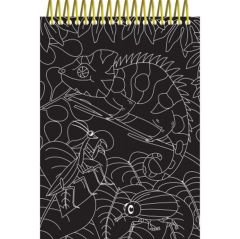 Scratch and Colour Animals