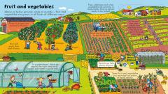 Look Inside Food