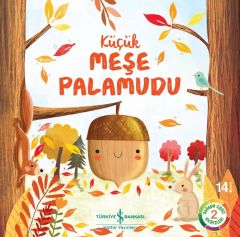 Küçük Meşe Palamudu – Doğanın Eşsiz Hikâyeleri 2