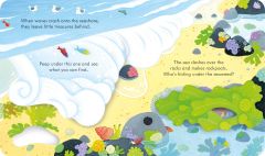 Peep Inside the Seashore