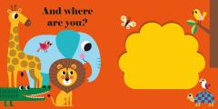 Where's Mr Lion?