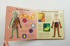 The Body Book