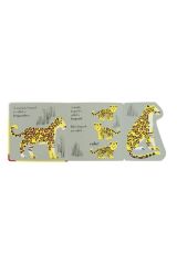 Animal Families: Safari