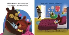 Meekoo and the Bedtime Bunny