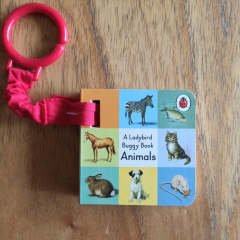A Ladybird Buggy Book: Animals