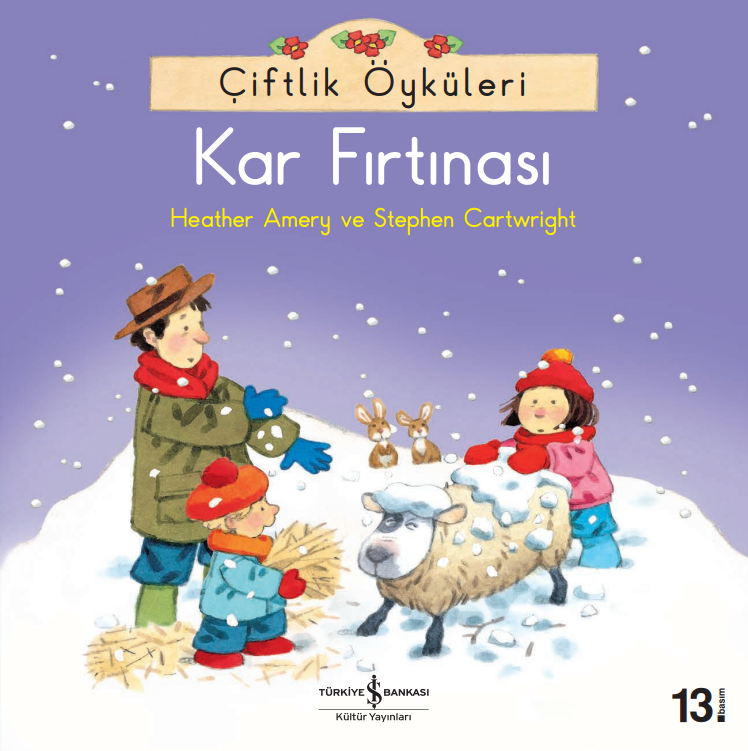Kar Fırtınası