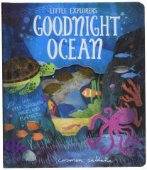 Goodnight Ocean