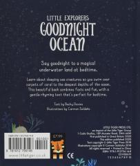 Goodnight Ocean