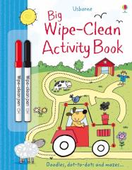 Big Wipe Clean Activity Book
